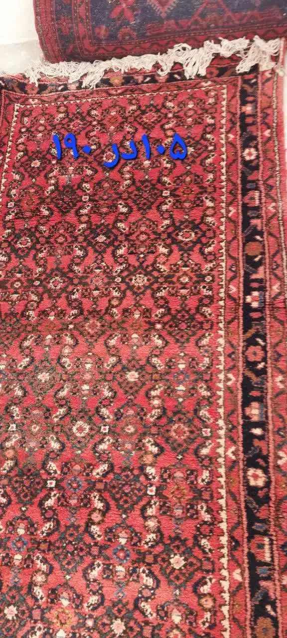 دستبافت|تابلو فرش|قزوین, |دیوار