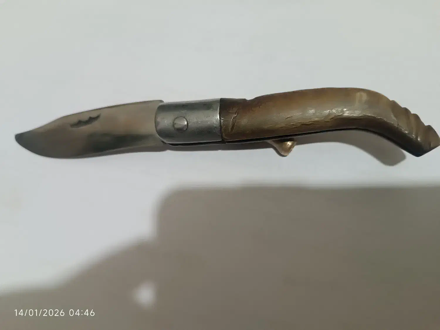 چاقوی دسته شاخ|کوهنوردی و کمپینگ|مشهد, تربیت (صدف)|دیوار