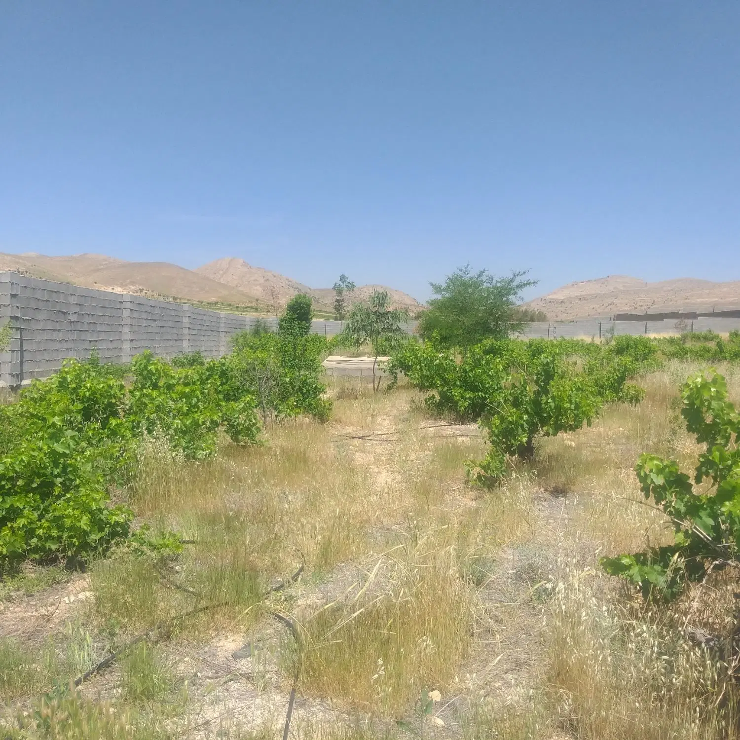 تصویر 8