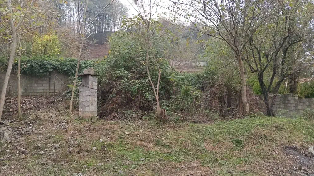 زمین مسکونی گیلان|فروش زمین و ملک کلنگی|گوراب زرمیخ, |دیوار