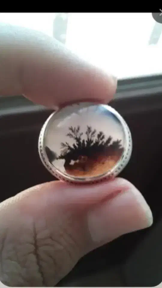 انگشتر شجر|جواهرات|قزوین, |دیوار