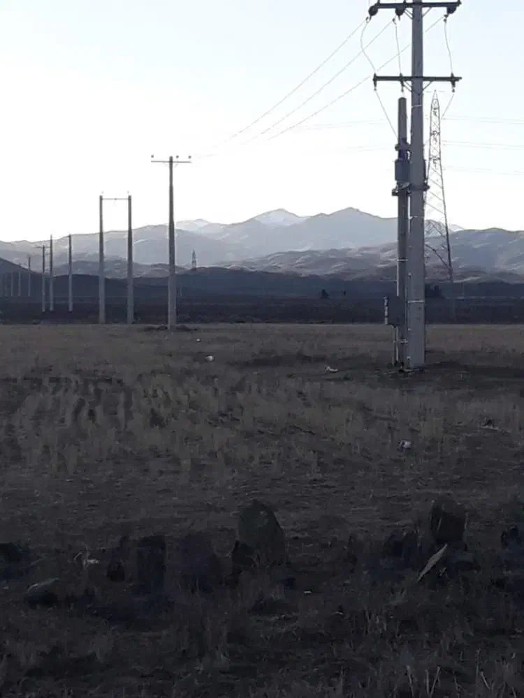 فروش باغ و دامداری|فروش دفتر صنعتی، کشاورزی، تجاری|بوئین زهرا, |دیوار