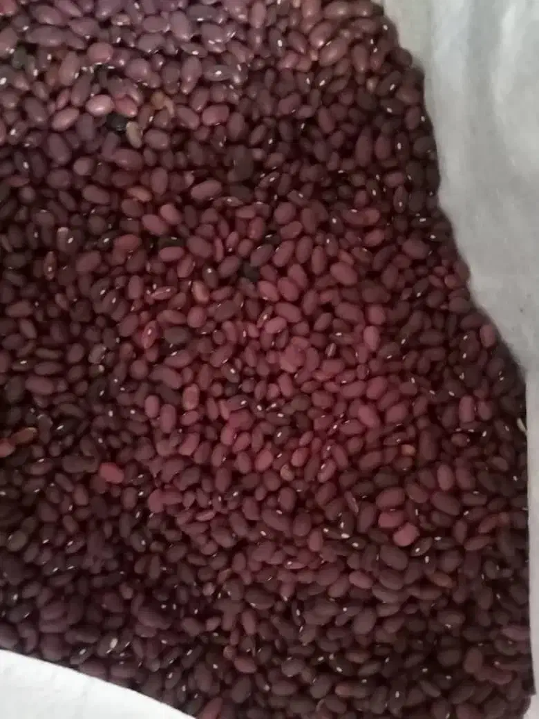 لوبیا قرمز|خوردنی و آشامیدنی|ارژن, |دیوار