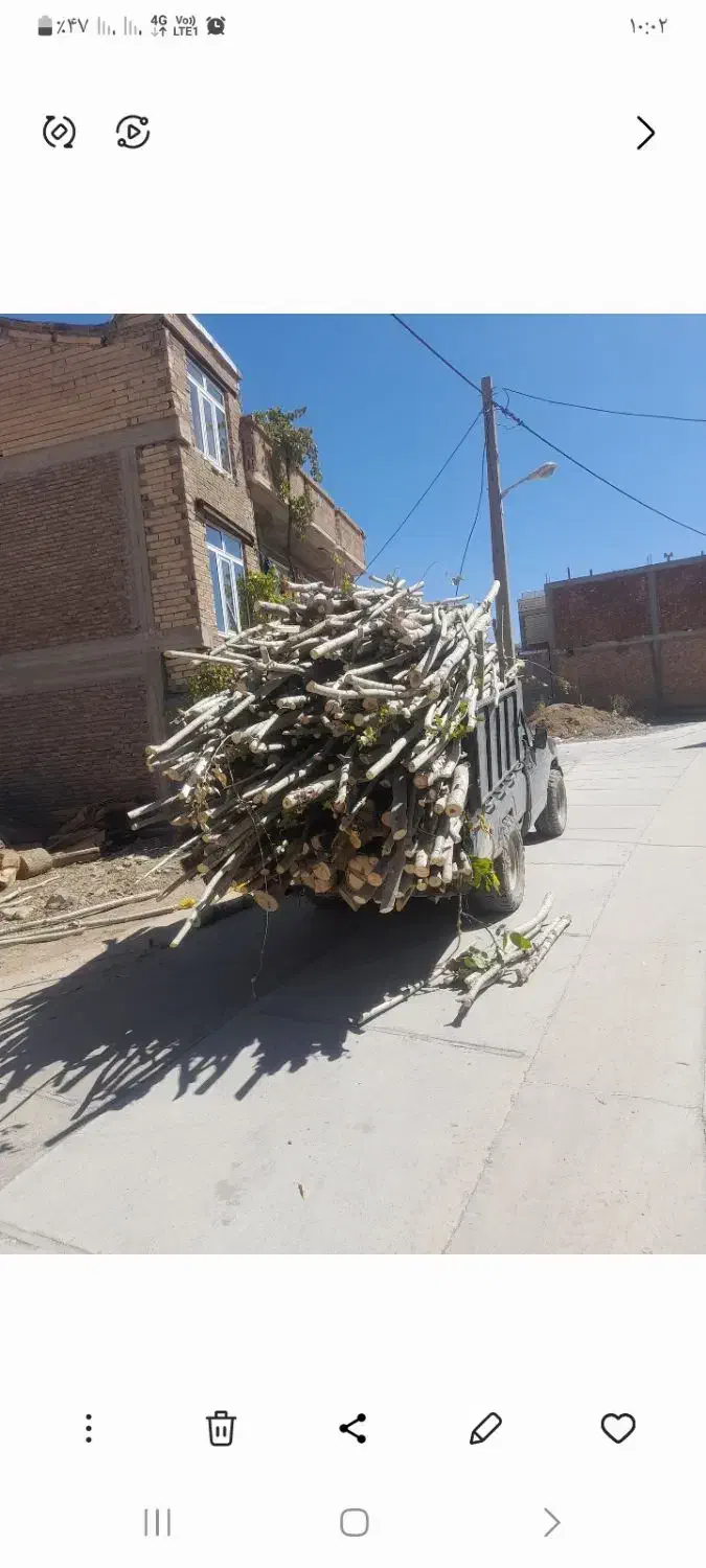 انواع  چوب|خدمات باغبانی و درختکاری|بانه, |دیوار