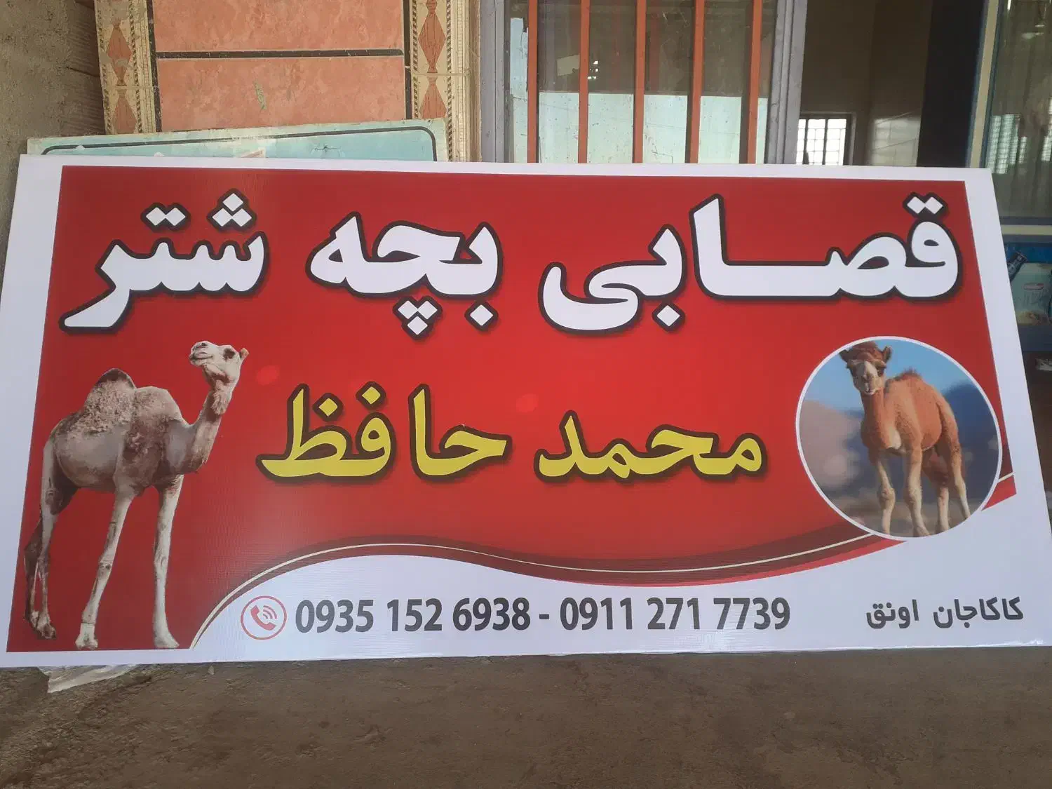 گوسفند بز|حیوانات مزرعه|آق قلا, |دیوار