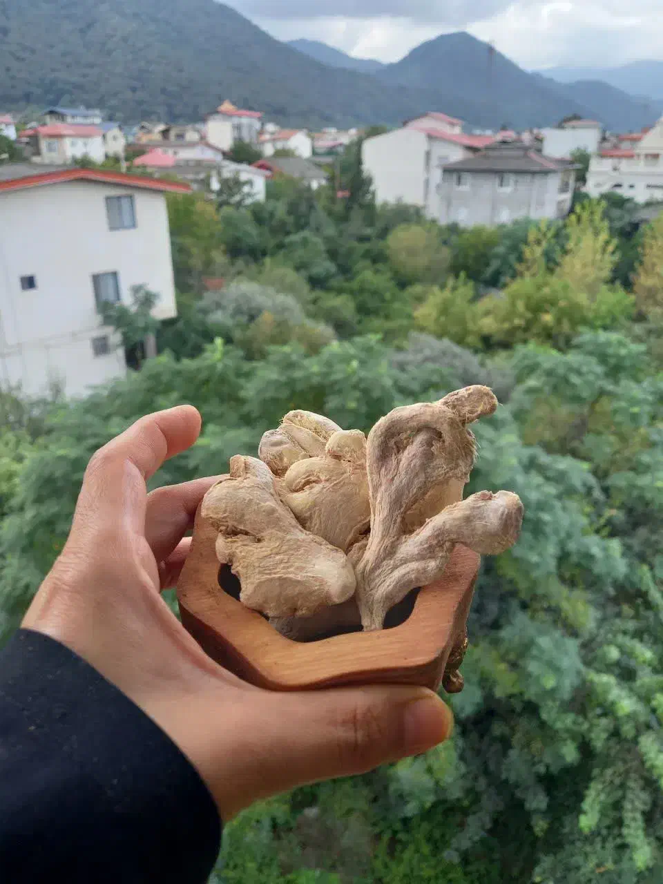 ادویه جات و خشکبار جانساقی|عمده‌فروشی|رامسر, |دیوار