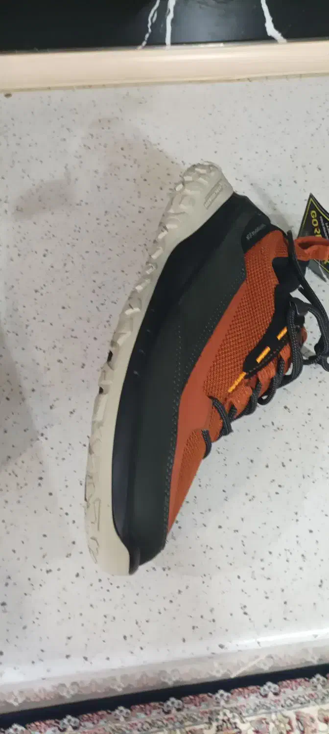 کفش اکو|کیف، کفش، کمربند|رشت, رشتیان|دیوار