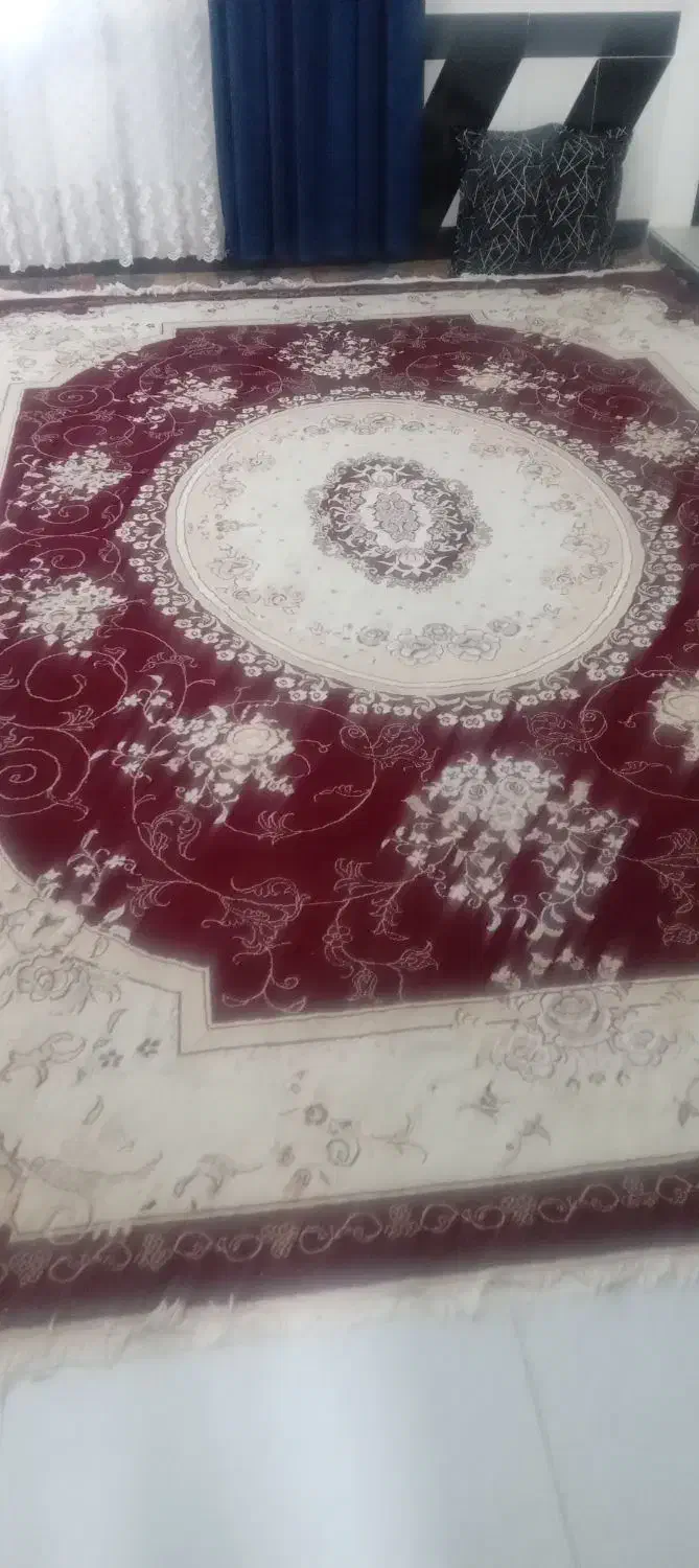 دوعدد فرش|فرش|میان ولایت, |دیوار