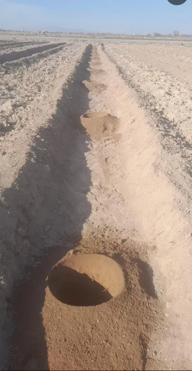 چاله کنی برای کاشت نهال|خدمات باغبانی و درختکاری|خسروشاه, |دیوار