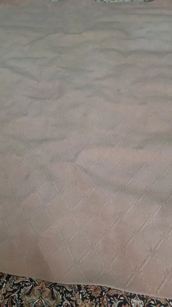 موکت|موکت|تربت‌حیدریه, شهرک ولیعصر|دیوار