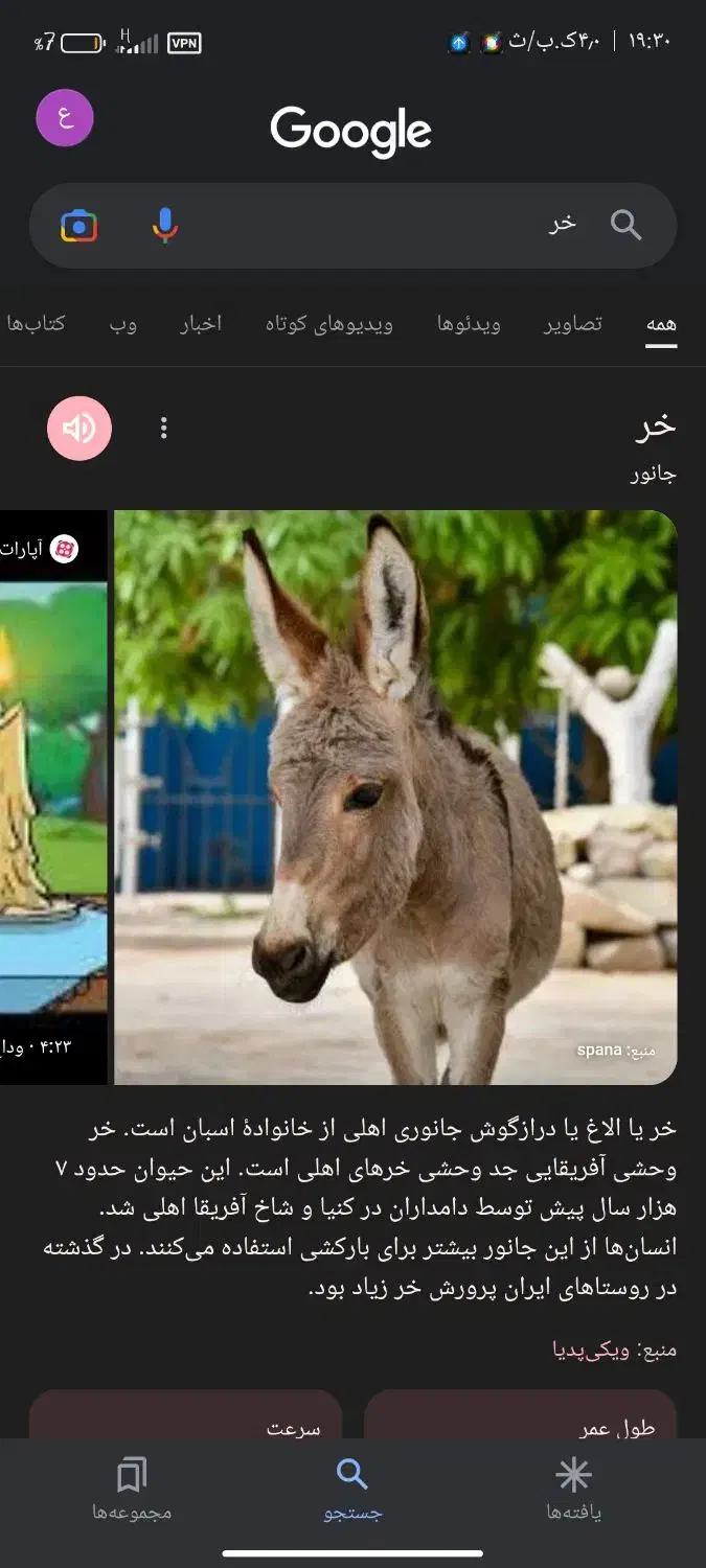 خر نر|حیوانات مزرعه|شیروان (خراسان), |دیوار