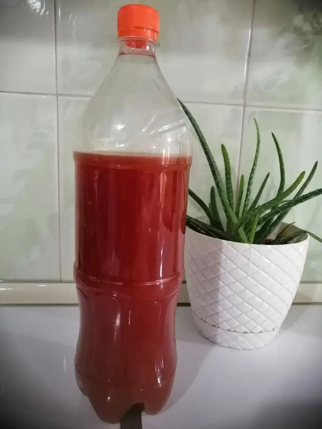 آبغوره خوشرنگ و ترش خونگی|خوردنی و آشامیدنی|سبزوار, اسلام آباد|دیوار