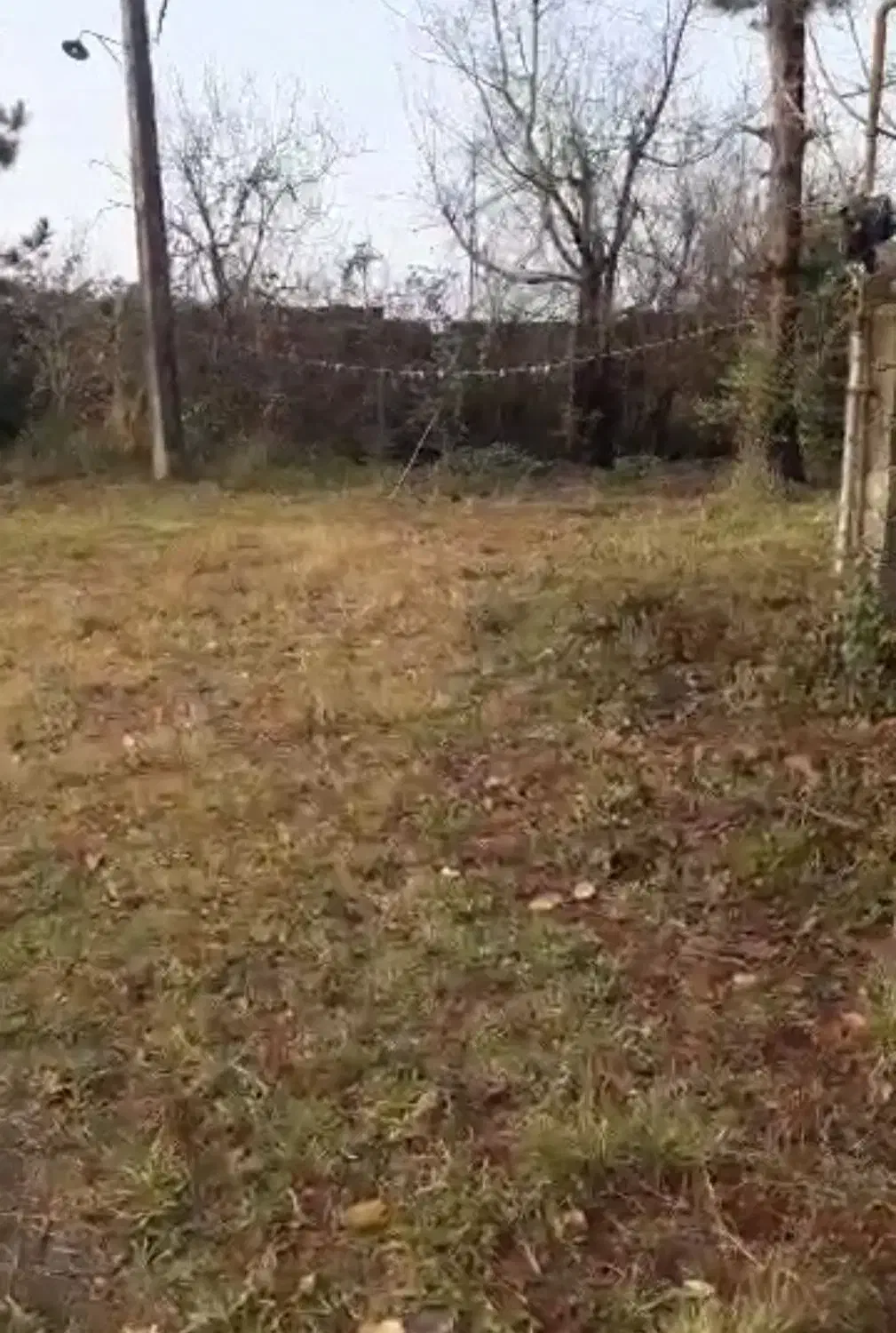 فروش قطعه زمینی به مساحت ۲۵۰۰مربع(سنددار)|فروش زمین و ملک کلنگی|رشت, لاکان شهر|دیوار