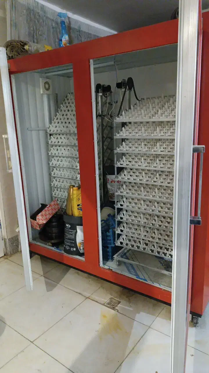 دستگاه جوجه کشی تمام اتوماتیک|ماشینآلات صنعتی|خوی, |دیوار