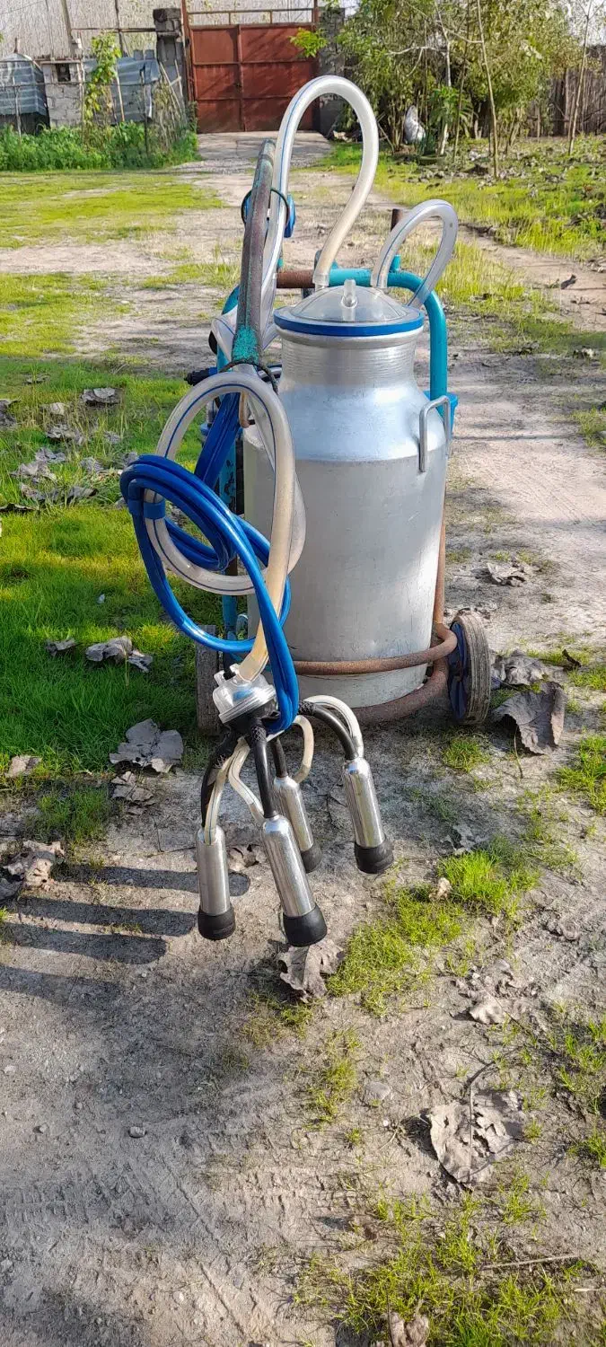 شیردوش|لوازم جانبی حیوانات|آستانه اشرفیه, |دیوار