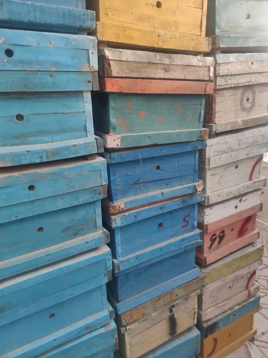 کندو|لوازم جانبی حیوانات|آباده, |دیوار