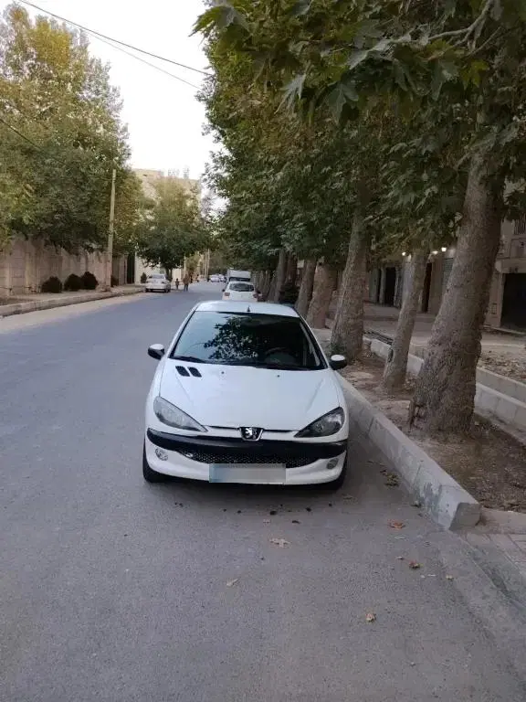 206sd v20|خودرو سواری و وانت|باغستان, |دیوار