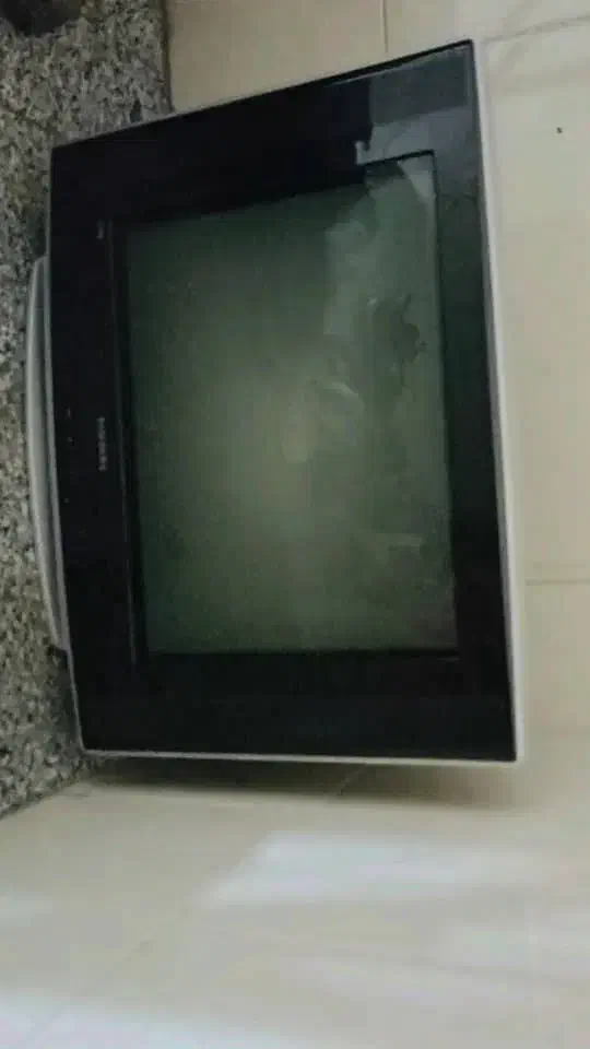 تلویزیون|تلویزیون و پروژکتور|یزد, |دیوار