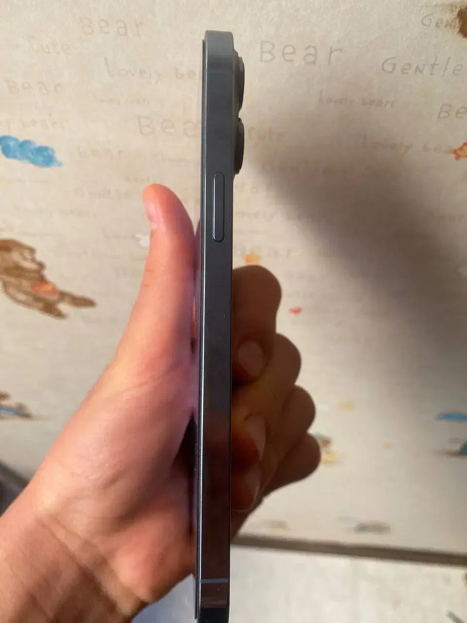 آیفون ۱۳پرو مکس|موبایل|تهران, گلستان (شهرک راه آهن)|دیوار