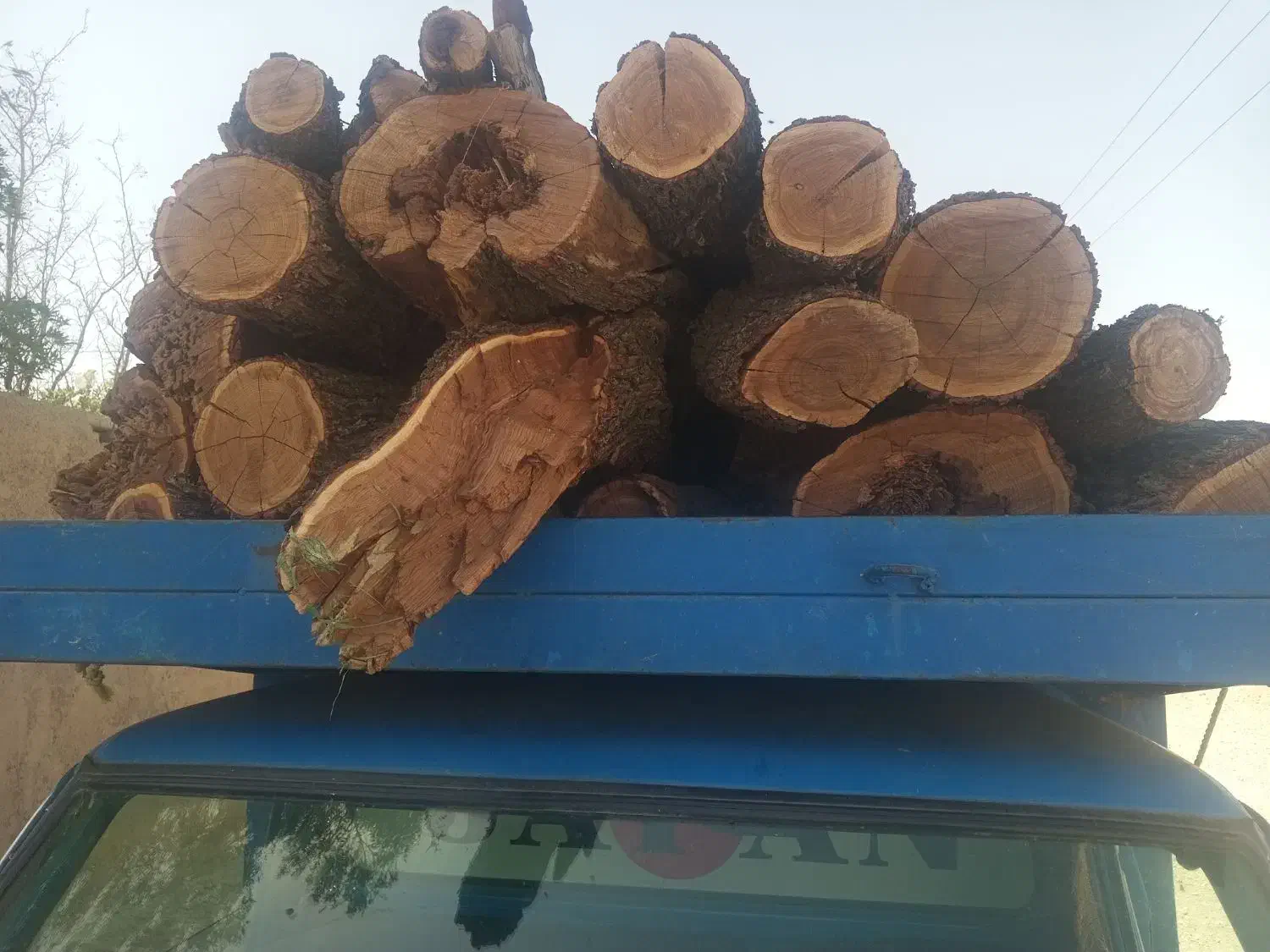 چوب بادام شومینه ای|خدمات باغبانی و درختکاری|تفرش, |دیوار