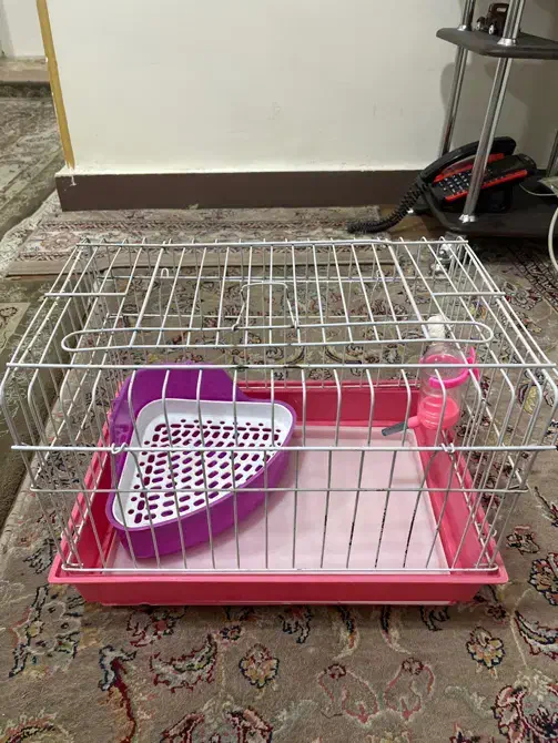 قفس|لوازم جانبی حیوانات|کرج, حصارک بالا|دیوار