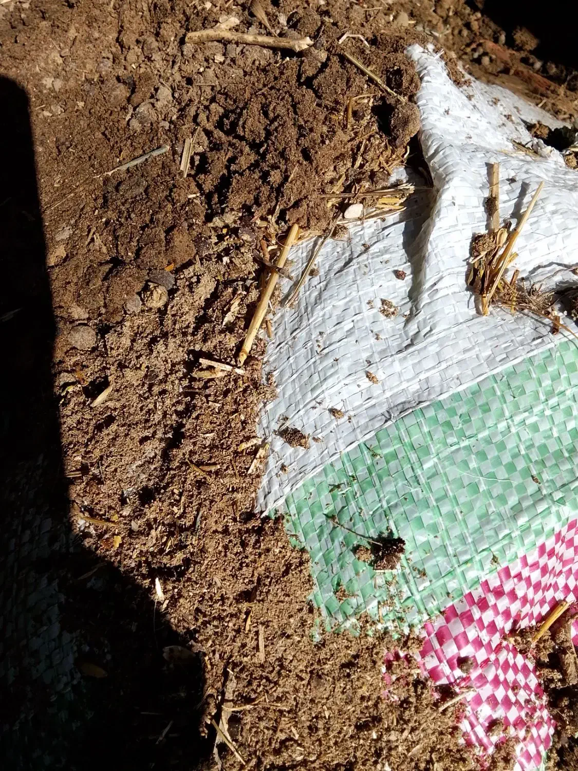 کود گوسفند و بز|خدمات باغبانی و درختکاری|برازجان, |دیوار