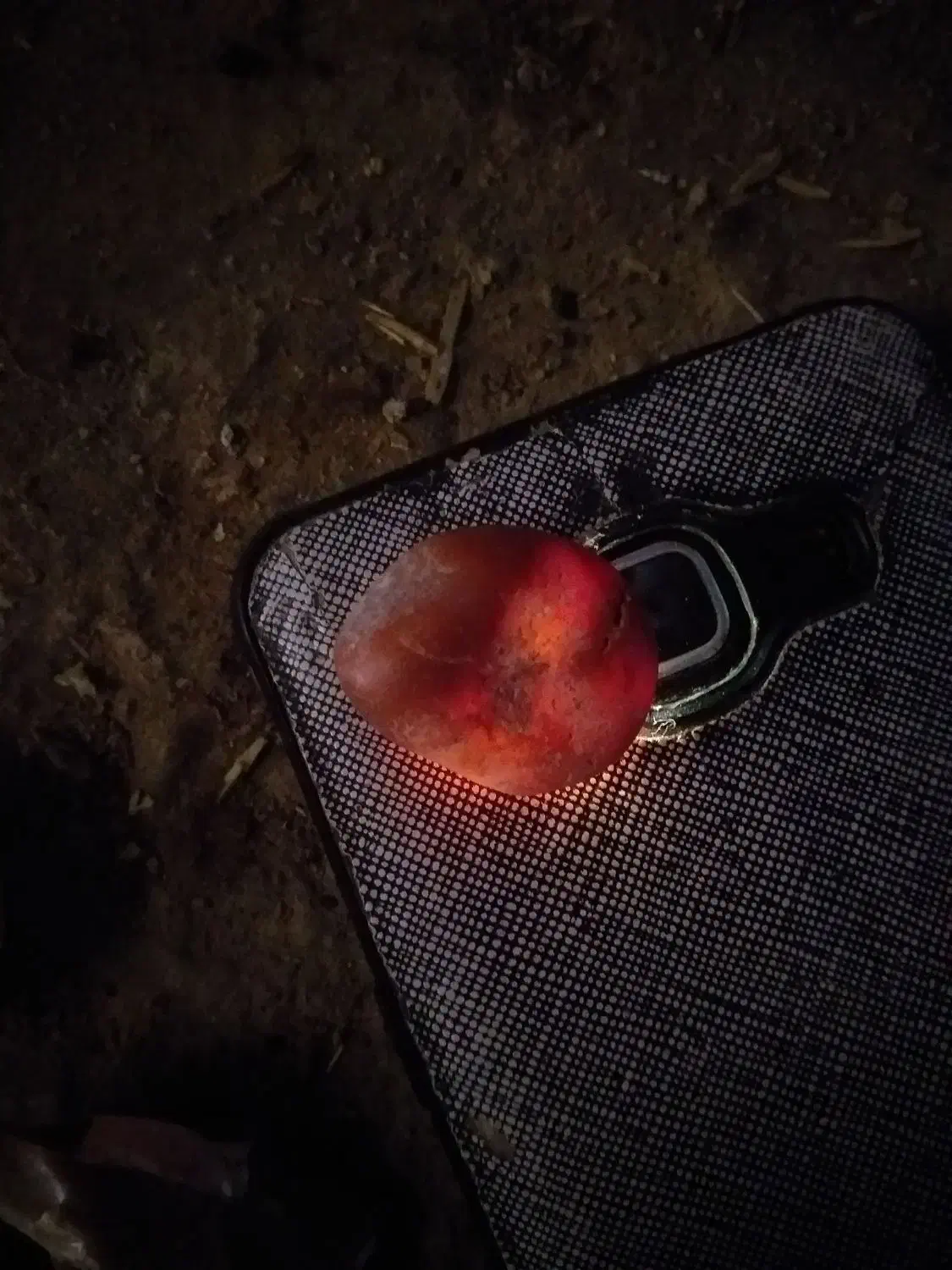 شهاب سنگ|جواهرات|بجنورد, |دیوار