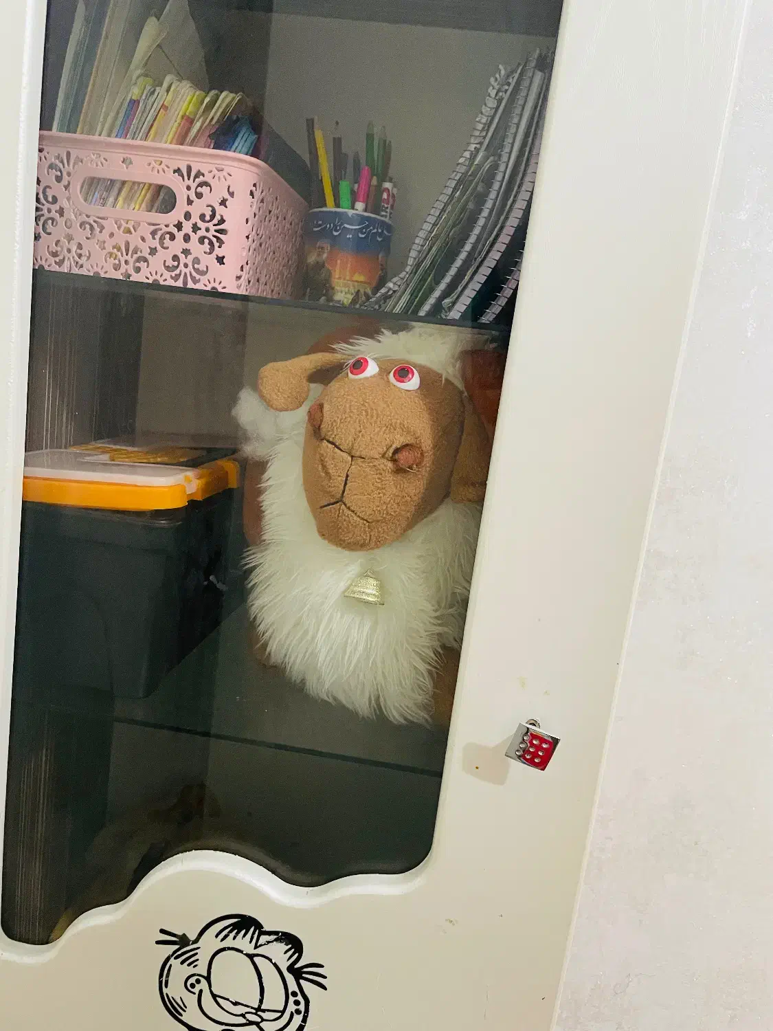 ویترین و کتابخانه کودک|کتابخانه، شلف، قفسههای دیواری|زاهدان, |دیوار