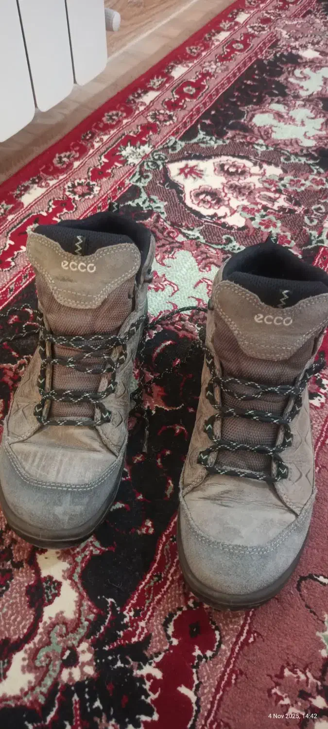 کفش اورجینال اکو تایلند|کیف، کفش، کمربند|یاسوج, |دیوار