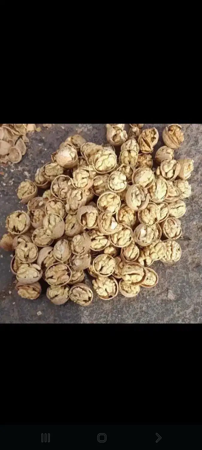 گردو کاغذی اعلا ایرانی درجه یک به صورت عمده و خرده|عمده‌فروشی|خمینی‌شهر, |دیوار