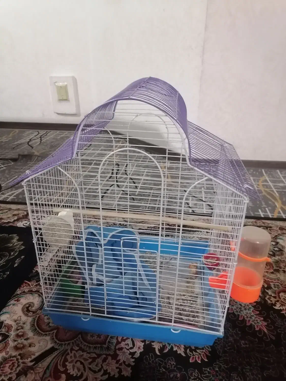 قفس|لوازم جانبی حیوانات|فولادشهر, مسکن مهر فولادشهر|دیوار