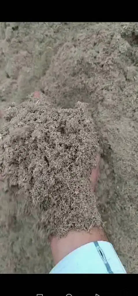 باگاس (تفاله نیشکر)|حیوانات مزرعه|قم, پردیسان|دیوار