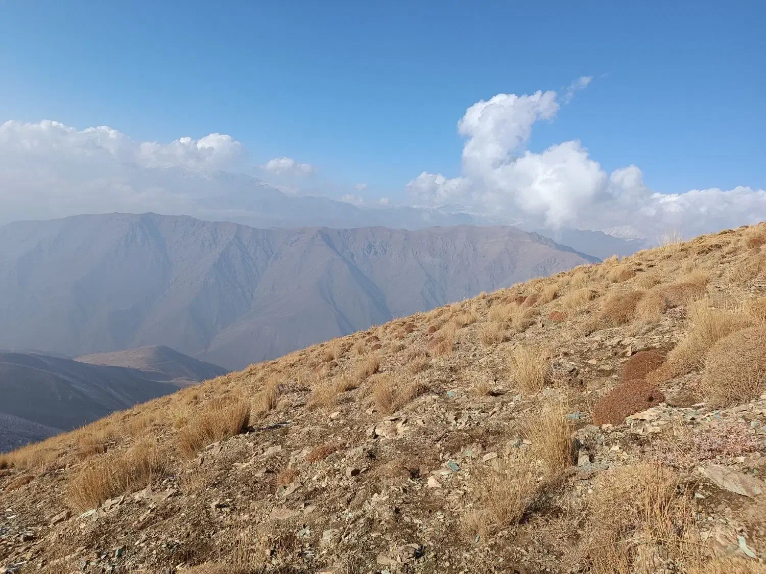 هم یاری|فعالیت داوطلبانه|تهران, خرمشهر|دیوار