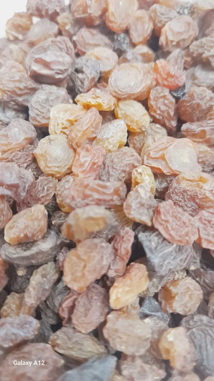 کشمش|خوردنی و آشامیدنی|قزوین, |دیوار