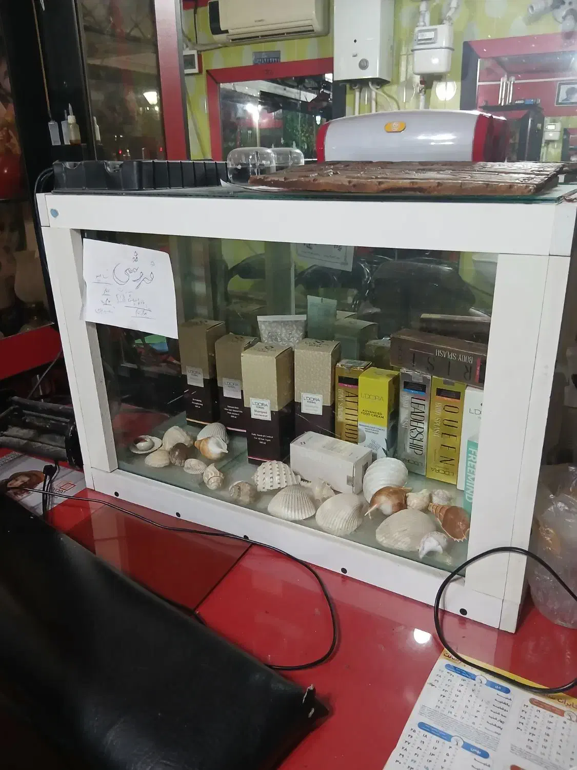 آکواریوم نو|ماهی|لشت نشا, |دیوار