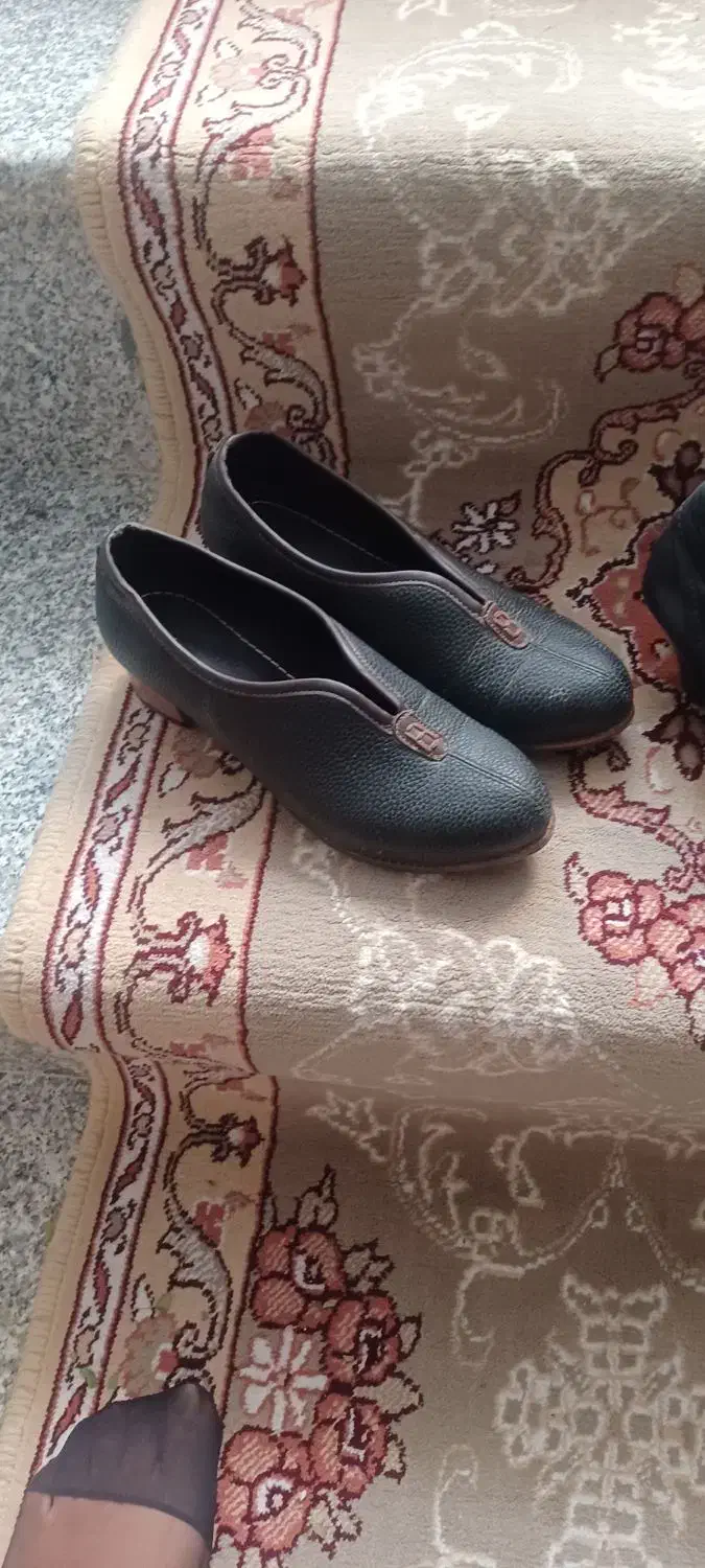 کفش وکیف|کیف، کفش، کمربند|میاندوآب, |دیوار