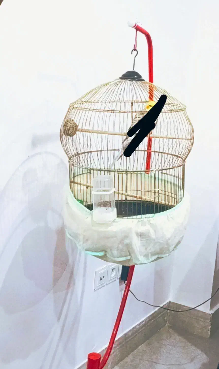 قفس پایه درحد نو|لوازم جانبی حیوانات|بندرعباس, |دیوار