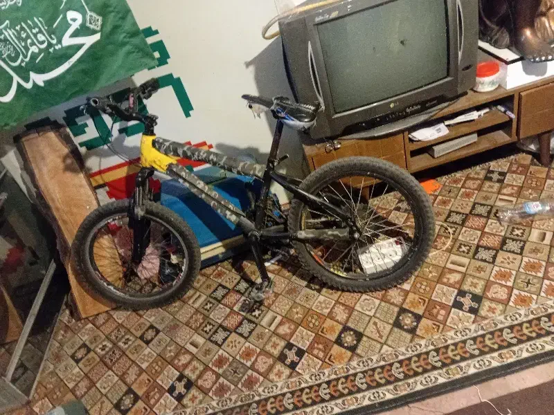 دوچرخه 20|دوچرخه، اسکیت، اسکوتر|آستانه اشرفیه, |دیوار