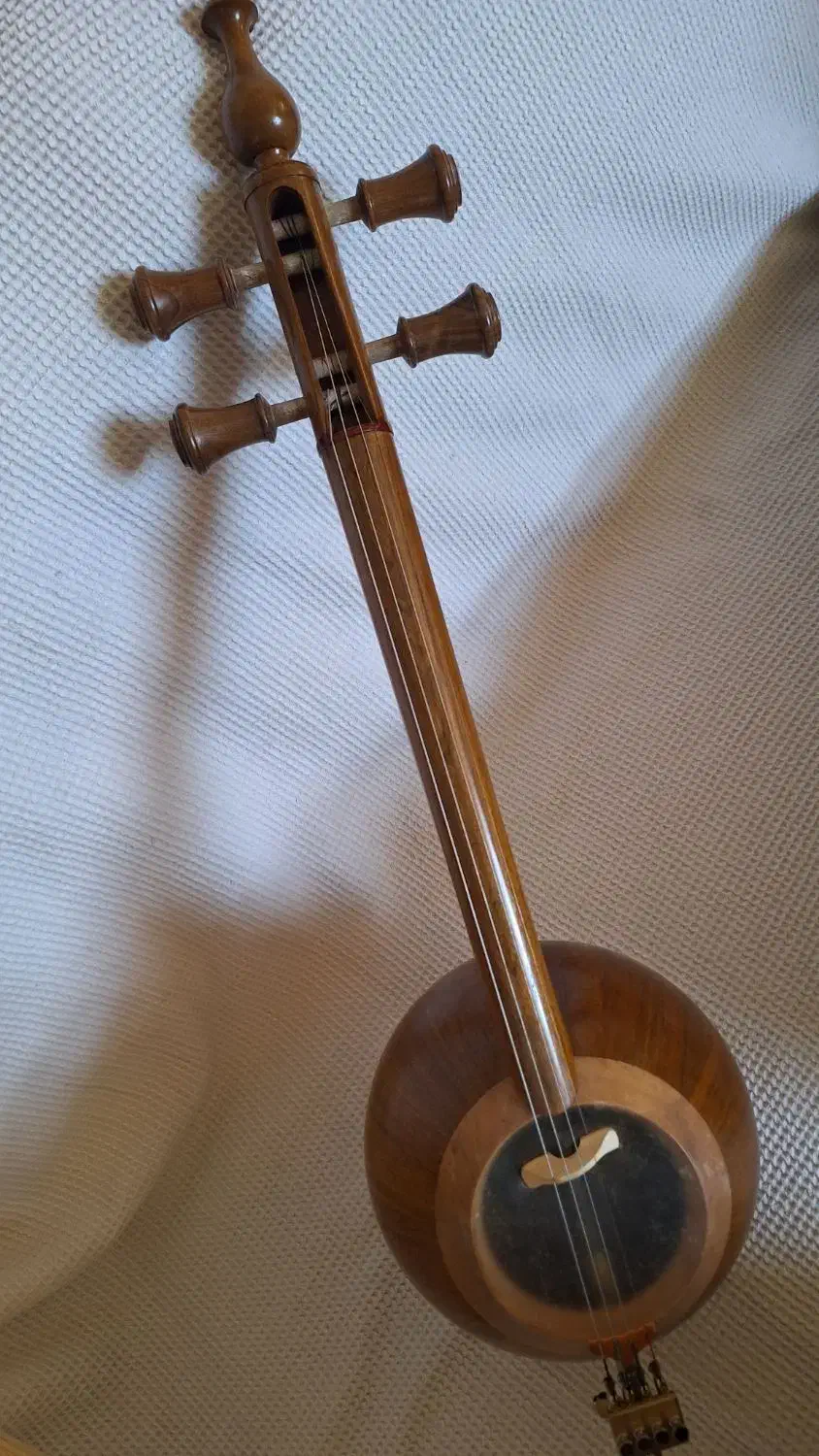 ساز کمانچه|سازهای سنتی|اصفهان, بهارستان|دیوار