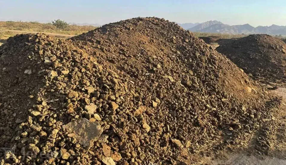 کود گوسفند|خدمات باغبانی و درختکاری|ساوه, |دیوار