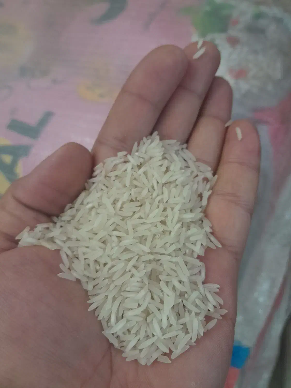 برنج پاکستانی|خوردنی و آشامیدنی|رشت, منظریه|دیوار