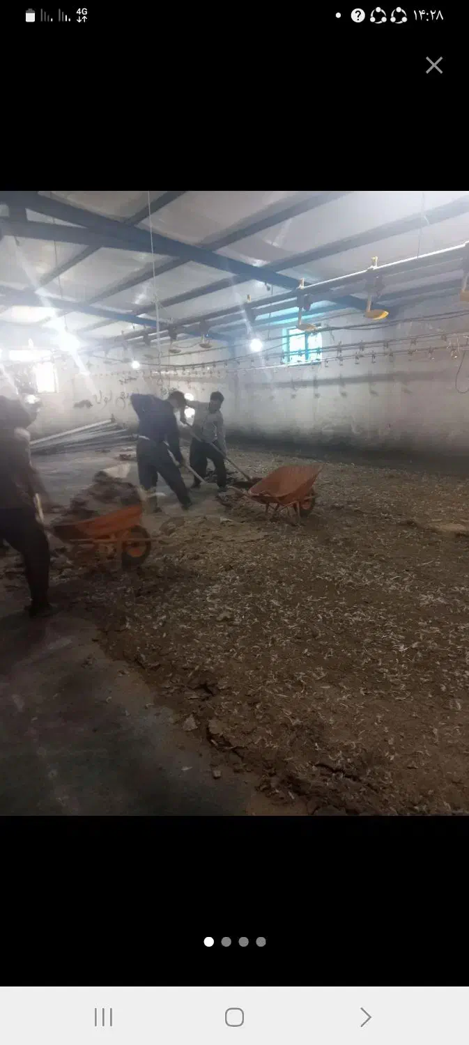 کود مرغی گوشتی خشک سالنی|خدمات باغبانی و درختکاری|دزفول, |دیوار