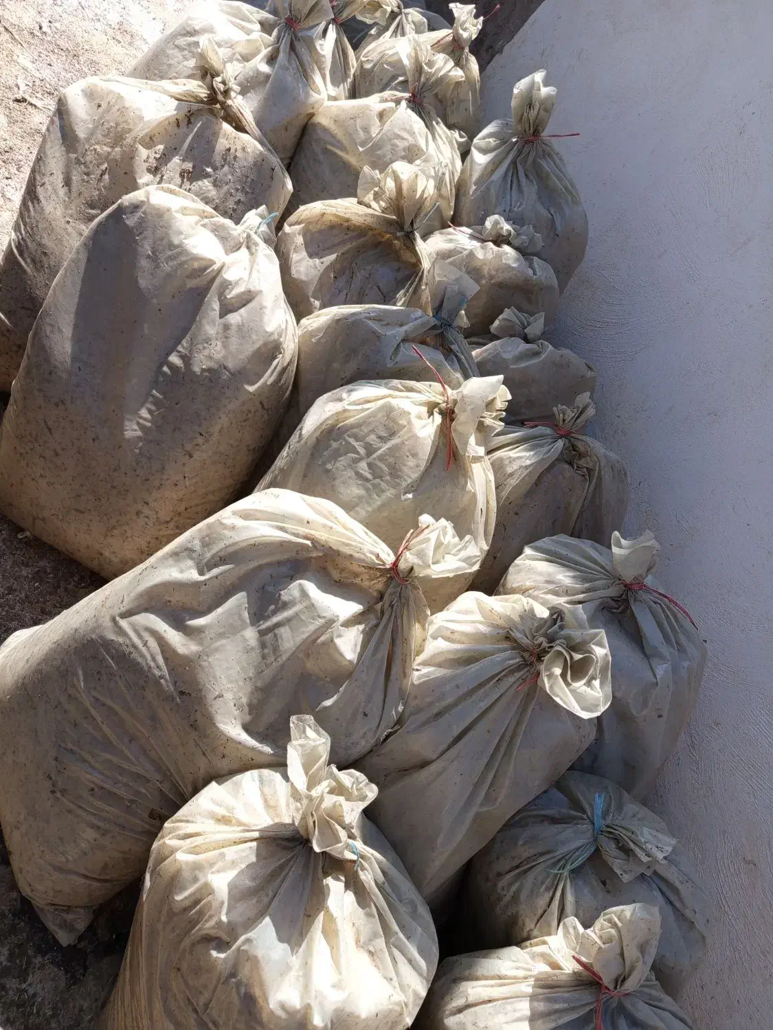 فروش تفاله چقندر|عمدهفروشی|شهرضا, |دیوار