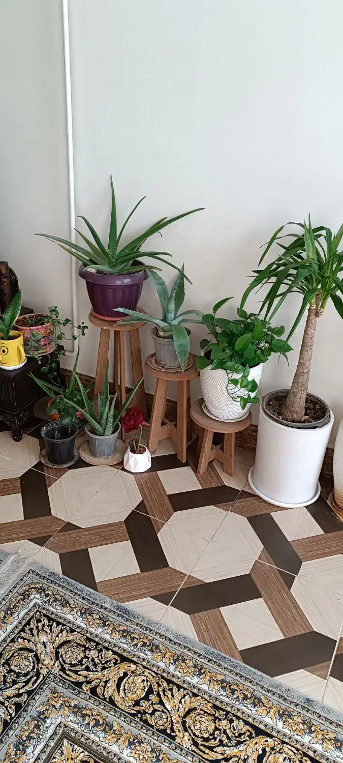 وسایل خونه|مبلمان خانگی و میز عسلی|کوهدشت, |دیوار