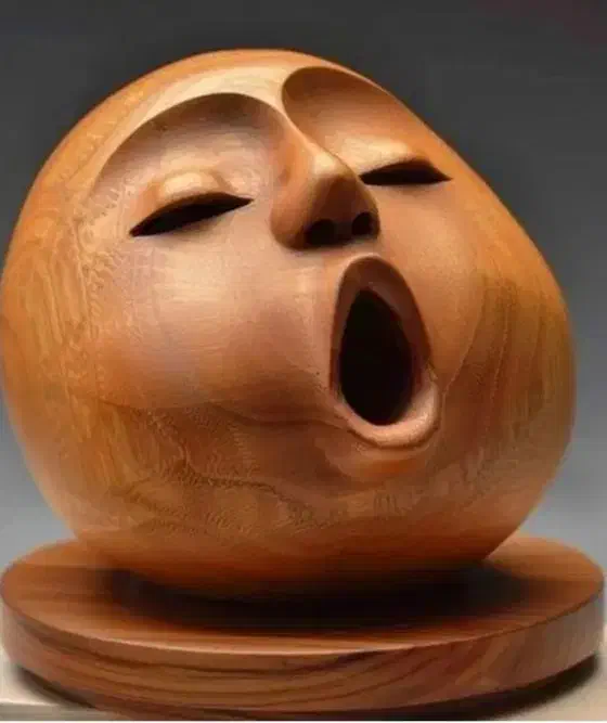 پیکر تراشی چوب هنرهای چوبی|خدمات آموزشی|شیراز, زند|دیوار