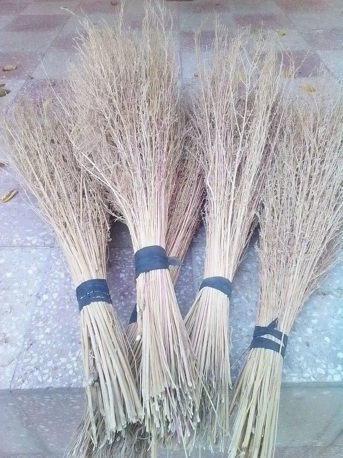 جارو پیشی|لوازم نظافت|زاغه, |دیوار