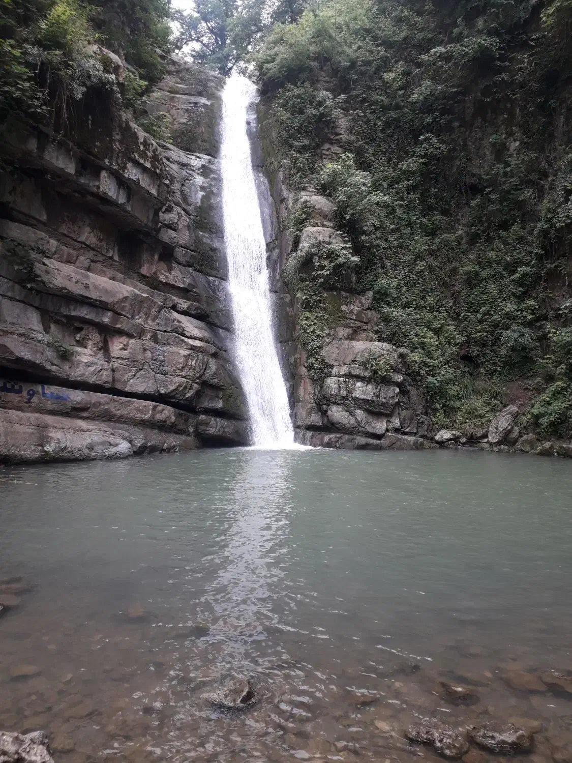 پارتنر پیاده روری|فعالیت داوطلبانه|اصفهان, کوی شهید کشوری|دیوار