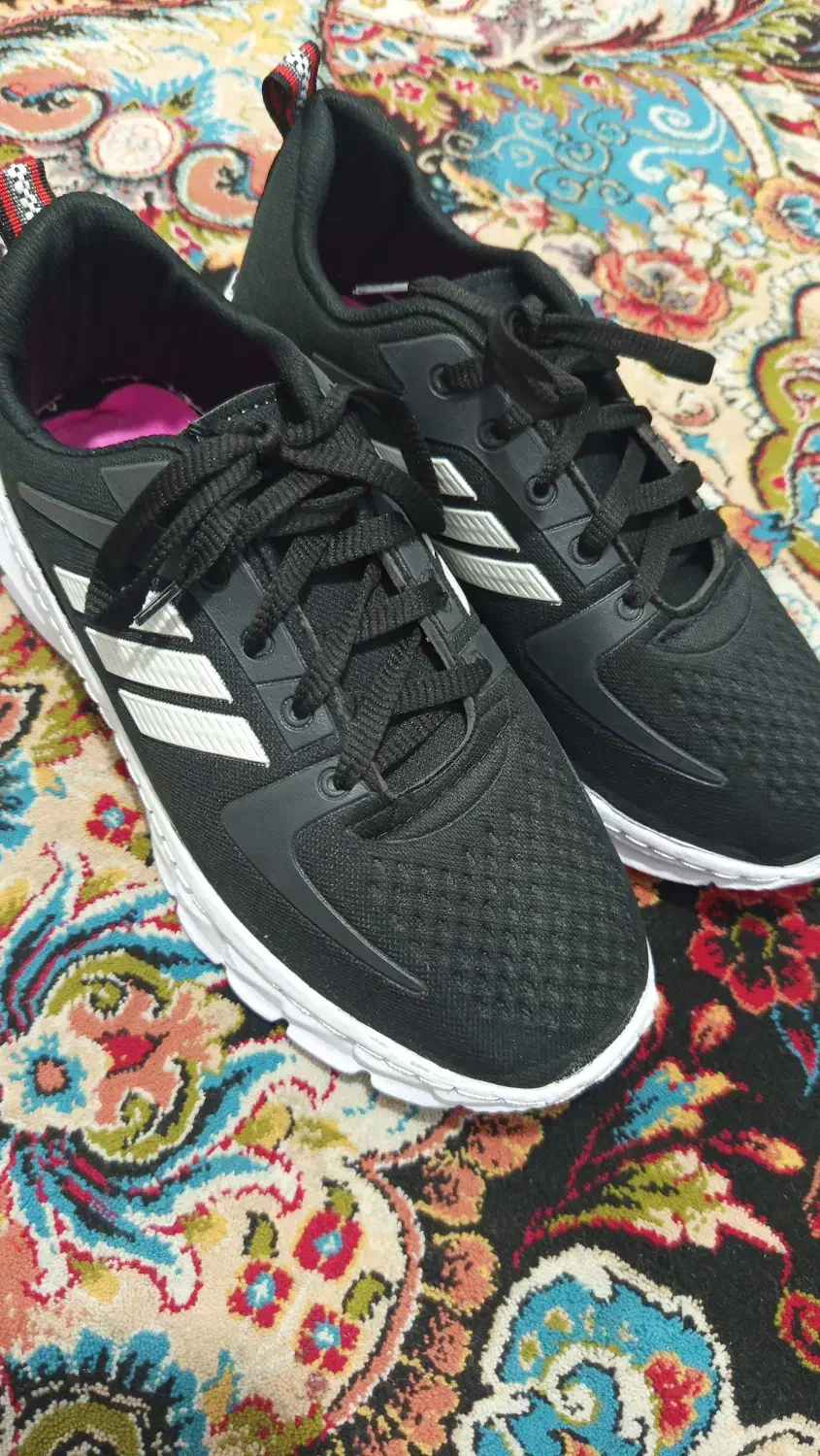 کفش مردانه|کیف، کفش، کمربند|سمنان, |دیوار