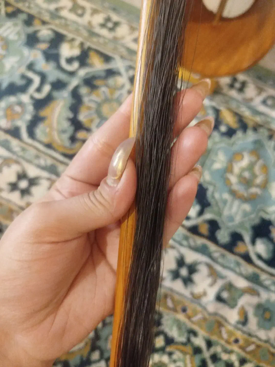 کمانچه|سازهای سنتی|دزفول, |دیوار