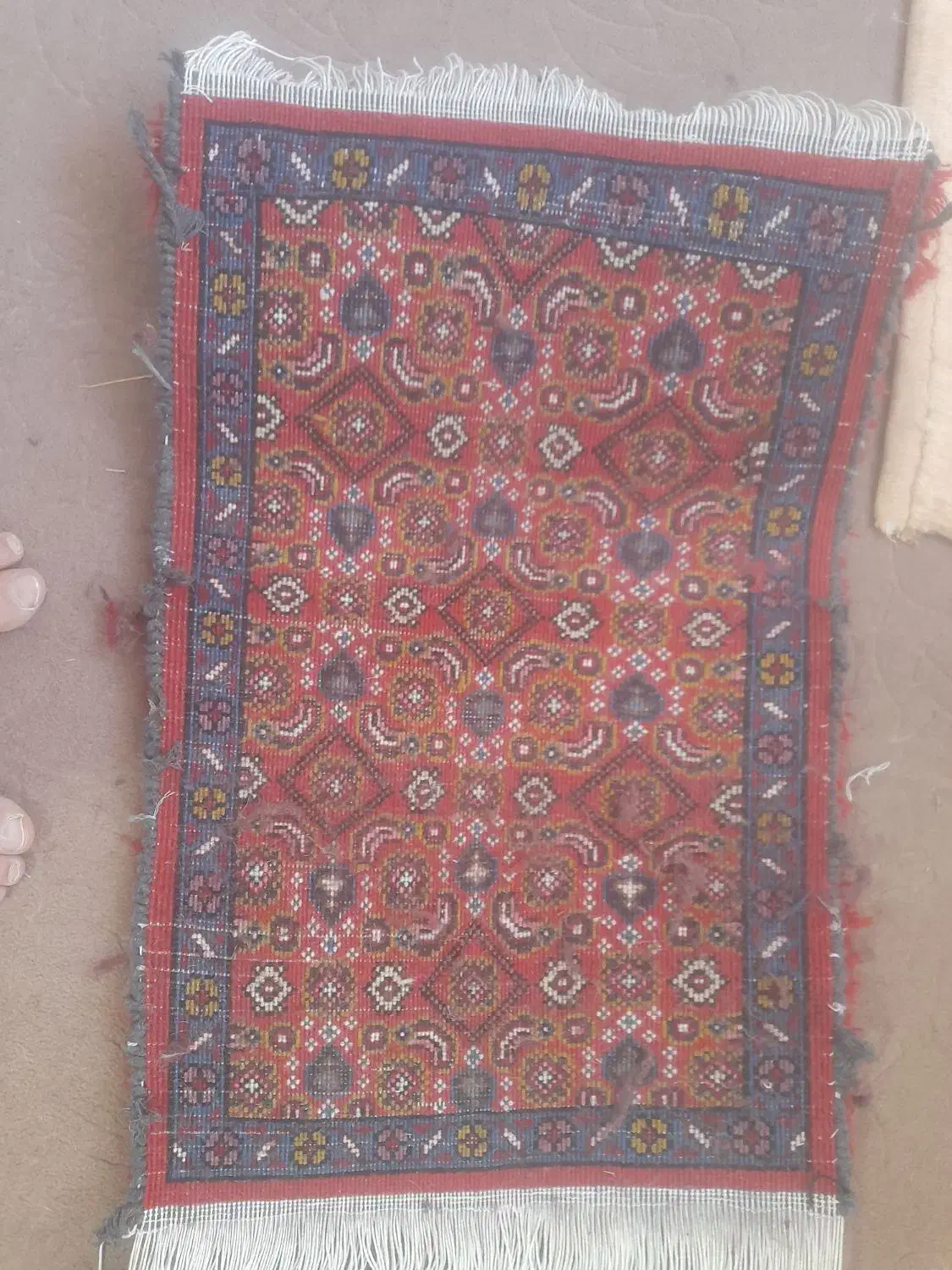 پادری|پادری|اردبیل, |دیوار